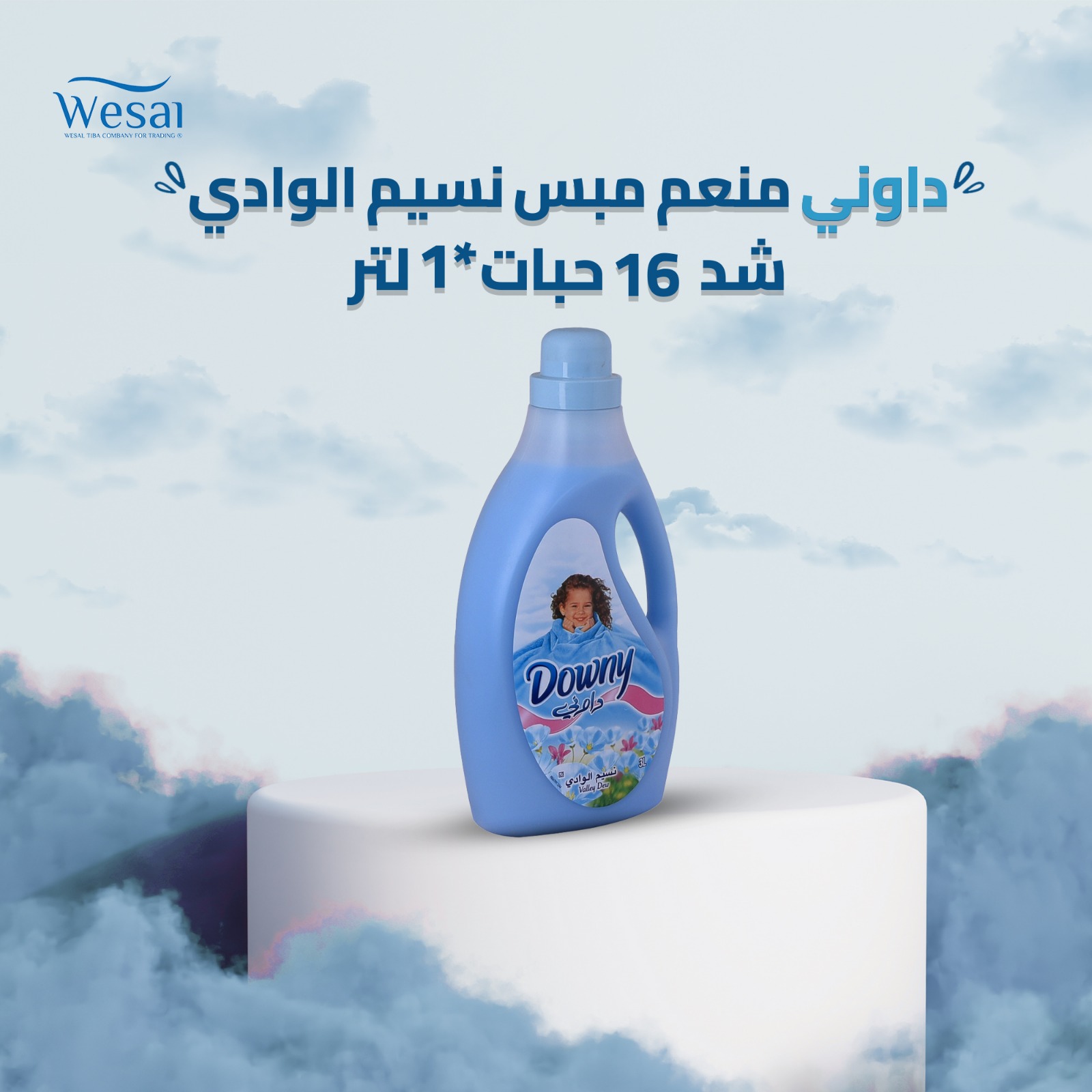 داونى منعم نسيم الوادى
